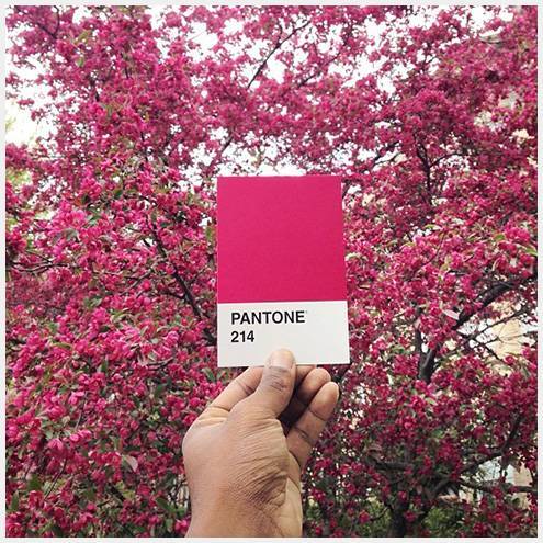 pantone3