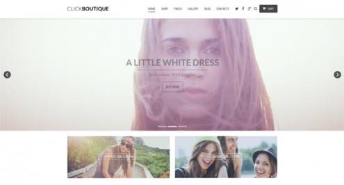 20-video-background-wordpress-themes