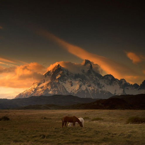 Patagonia-Dreaming-I-700w-opt