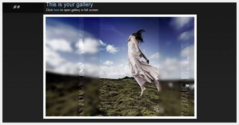 Imagevue 相册de使用