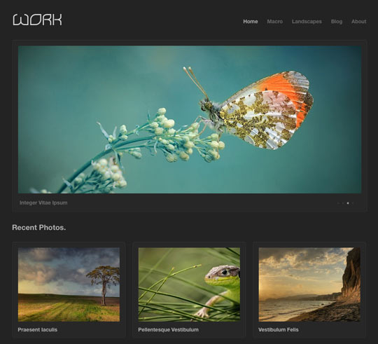 wordpress portfolio theme